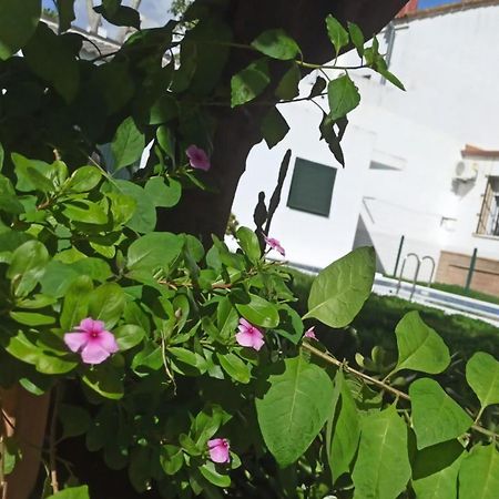 Casa Turquesa Villa Valencina de la Concepción Esterno foto
